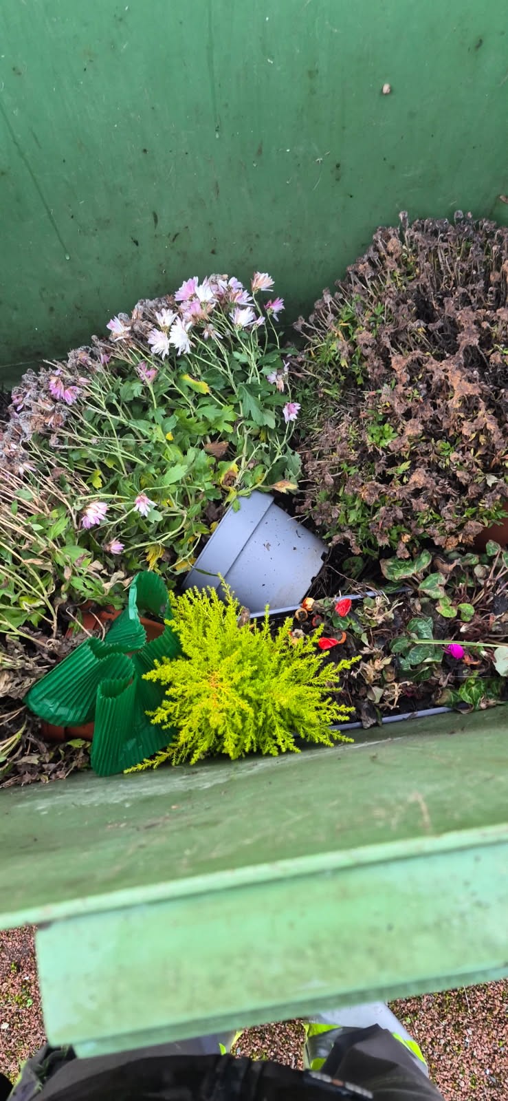 Agrandir l'image (fenêtre modale)