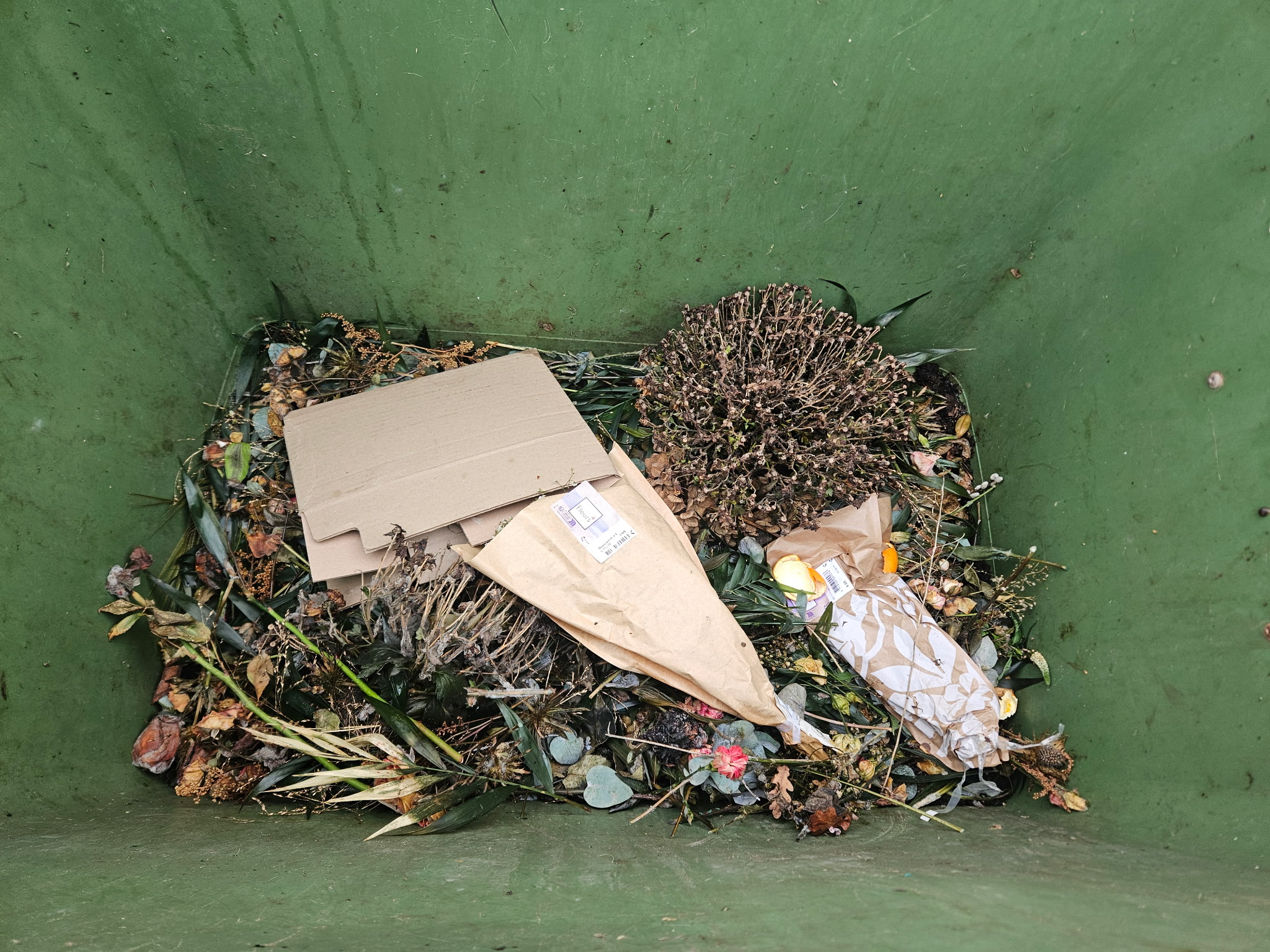 Agrandir l'image (fenêtre modale)