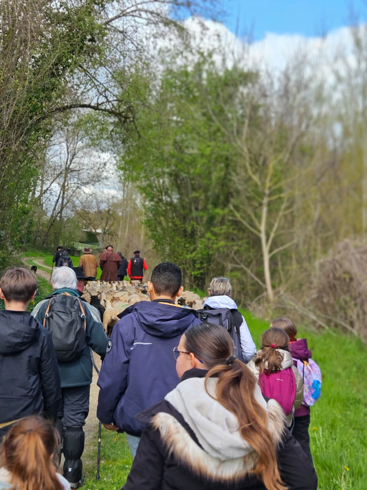 Agrandir l'image (fenêtre modale)