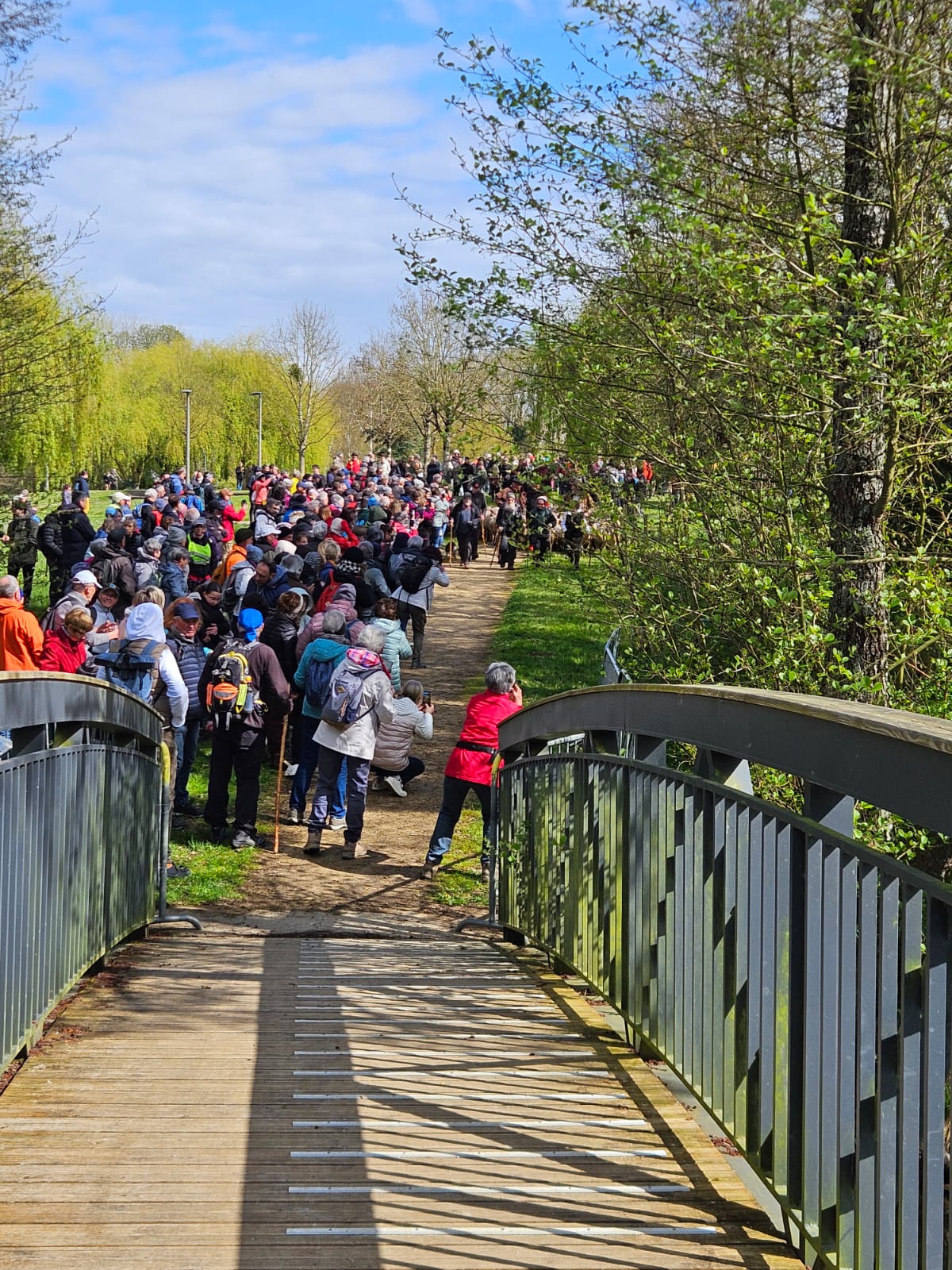 Agrandir l'image (fenêtre modale)