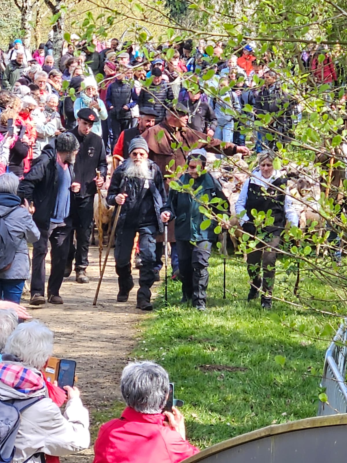Agrandir l'image (fenêtre modale)