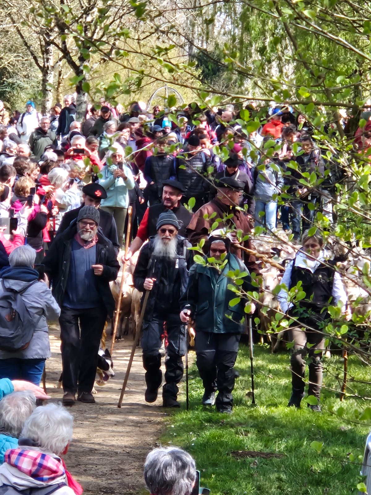 Agrandir l'image (fenêtre modale)