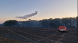 Agrandir l'image (fenêtre modale)