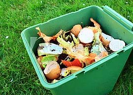 sceau de compost - Agrandir l'image (fenêtre modale)
